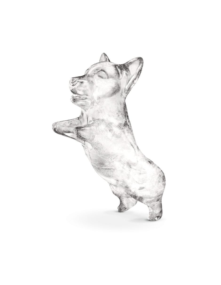 Molde para hielos plástico perro 2