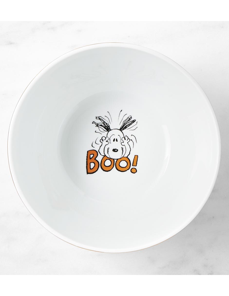 Bowl Peanuts The Great Pumpkin Snoopy de porcelana