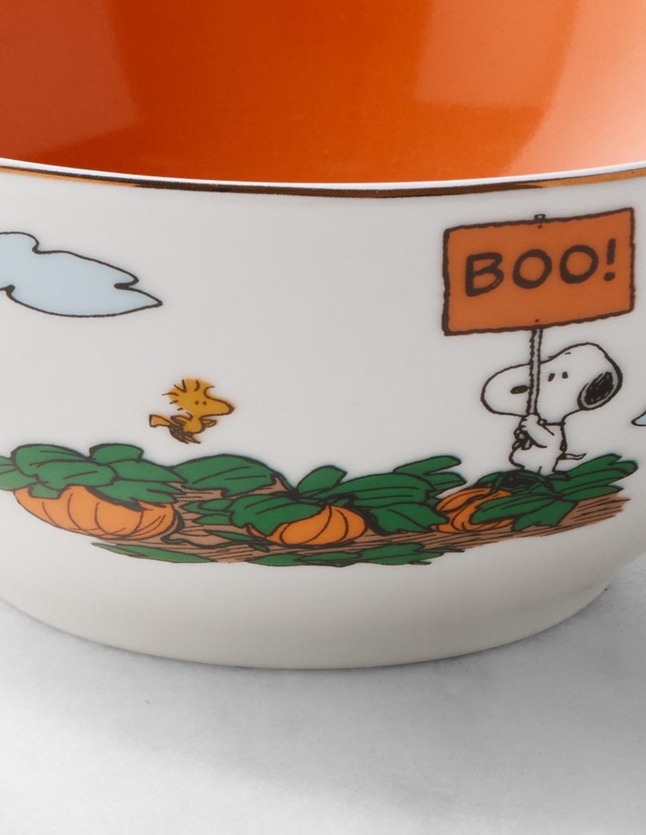 Set bowl PeanutsThe Great Pumpkin 4 piezas de porcelana 5
